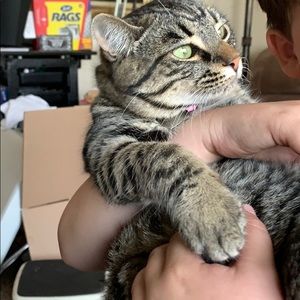 Meet your Posher, Roxanne